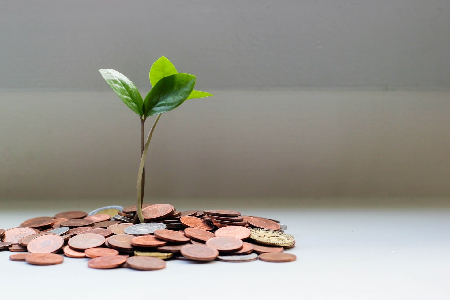 Strategies for Smart Investing in Upcoming IPOs